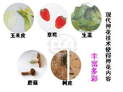 押花課堂：押花的工具與使用方法（圖解）