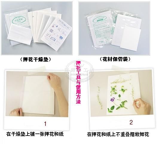 押花課堂：押花的工具與使用方法（圖解）