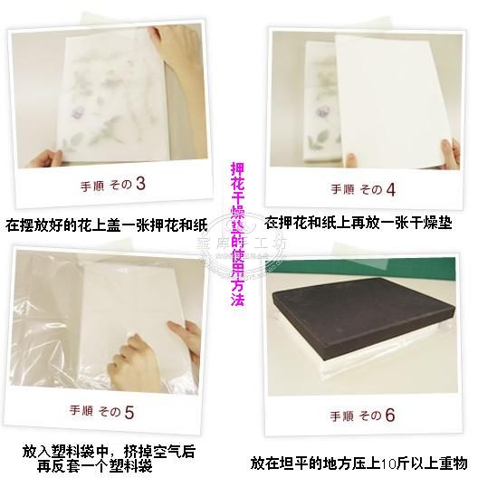 押花課堂：押花的工具與使用方法（圖解）