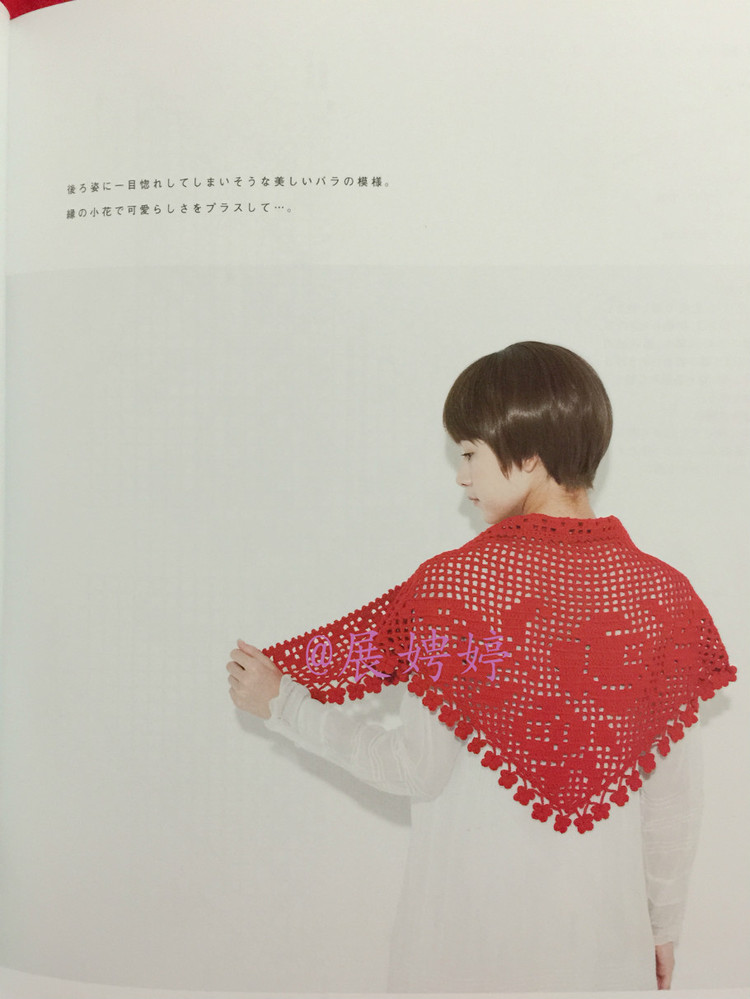 はじめてのかぎ針編み薔薇づくしのあったかこもの (アサヒオリジナル 387) - 展娉婷 - 展娉婷的鉤針世界