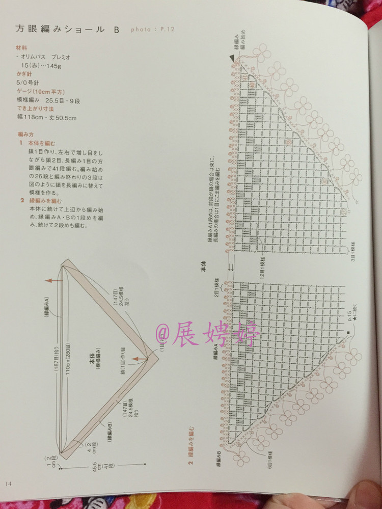 はじめてのかぎ針編み薔薇づくしのあったかこもの (アサヒオリジナル 387) - 展娉婷 - 展娉婷的鉤針世界