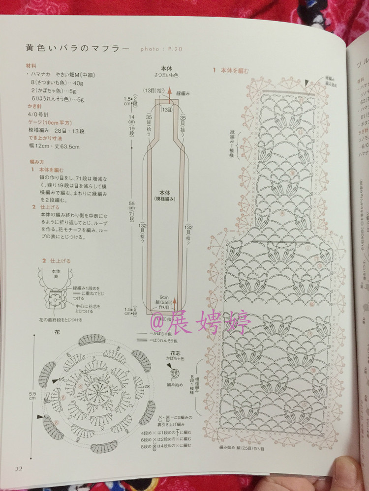 はじめてのかぎ針編み薔薇づくしのあったかこもの (アサヒオリジナル 387) - 展娉婷 - 展娉婷的鉤針世界