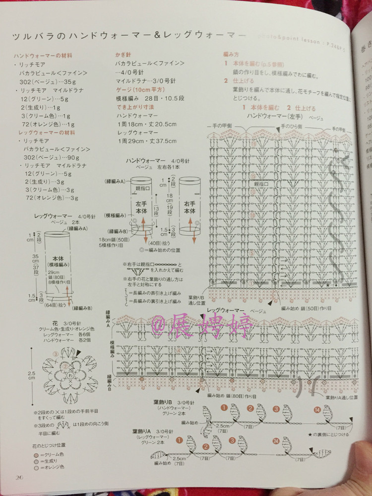 はじめてのかぎ針編み薔薇づくしのあったかこもの (アサヒオリジナル 387) - 展娉婷 - 展娉婷的鉤針世界
