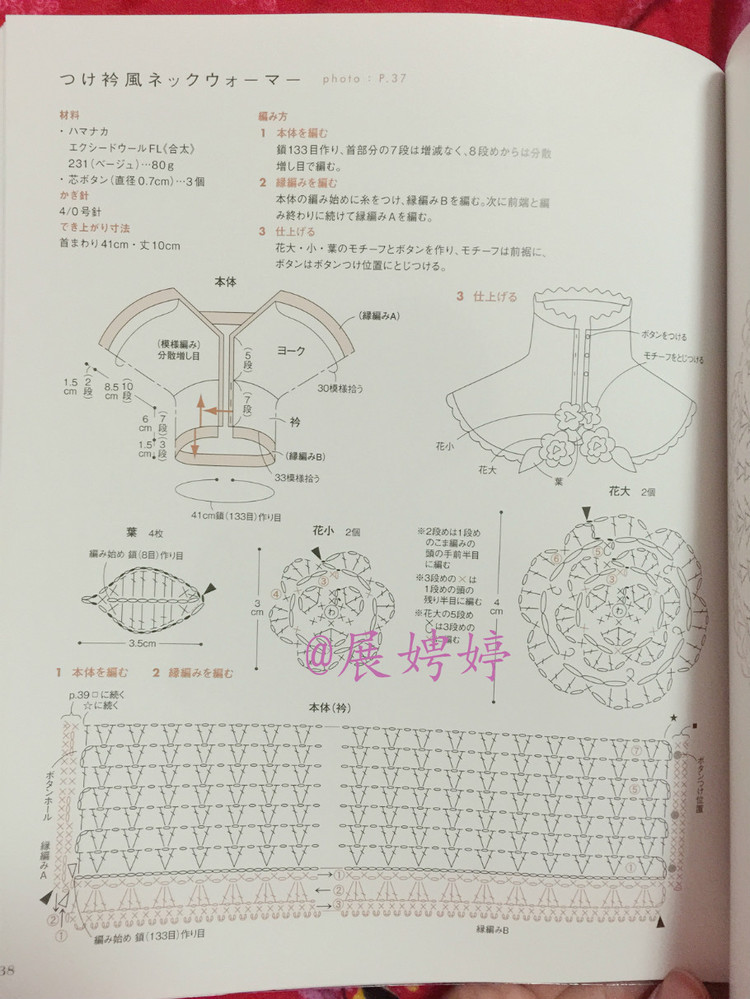 はじめてのかぎ針編み薔薇づくしのあったかこもの (アサヒオリジナル 387) - 展娉婷 - 展娉婷的鉤針世界