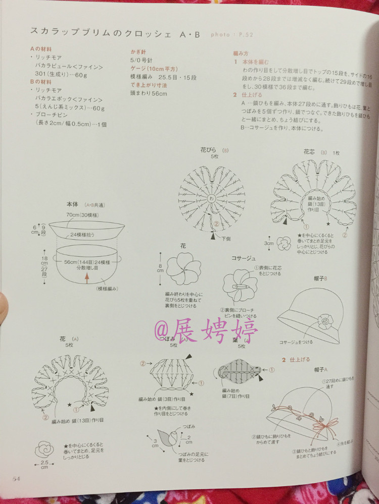 はじめてのかぎ針編み薔薇づくしのあったかこもの (アサヒオリジナル 387) - 展娉婷 - 展娉婷的鉤針世界