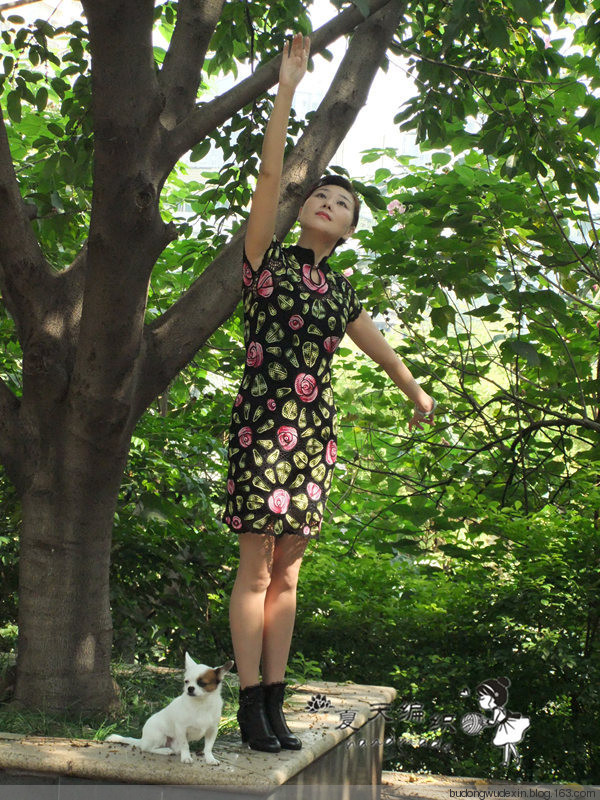 玫瑰花旗袍 - 夏天 - 夏天