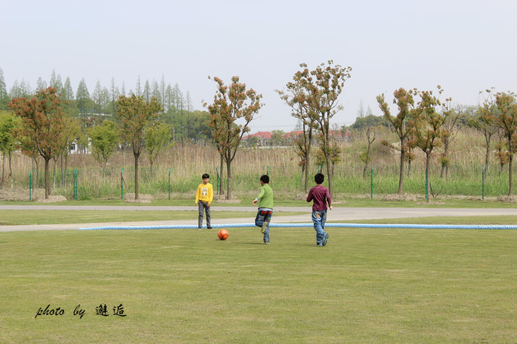 上海月湖雕塑公園 - 邂逅 - 悠然生活