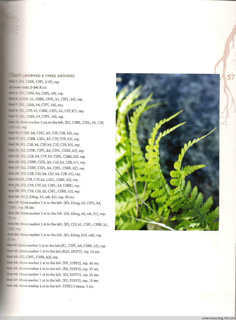Botanical Knits 2 - 在夏郁中冬眠 - 〓 北緯①度★南洋小島 〓
