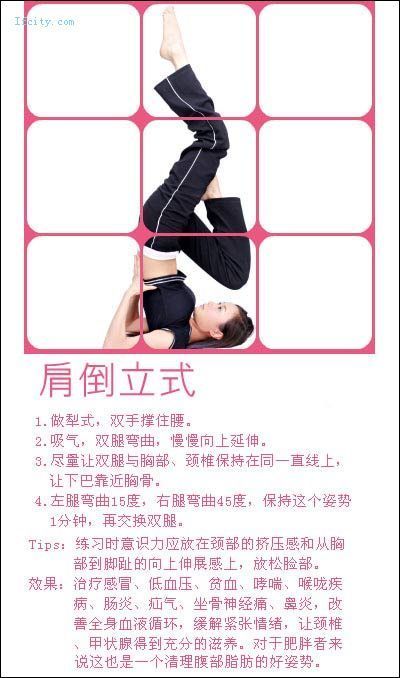 引用 教你在家做瑜珈，很有效的！ - ≡＠⊥＠≡ - 木蘭的空間
