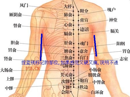 爛在肚子里的救命知識! - 明子 - 工人 明子 的博客