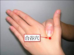 爛在肚子里的救命知識! - 明子 - 工人 明子 的博客 圖片