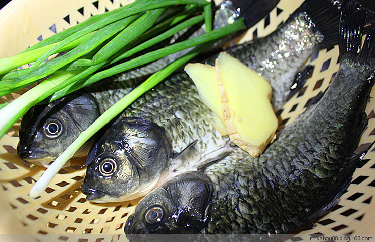 鯽魚豆腐湯 - 周太靚湯 - 周太靚湯