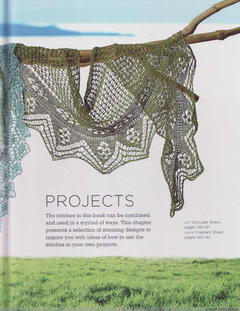 The Magic of Shetland Lace Knitting -- 鏤空花樣 - 紫蘇 - 紫蘇的博客