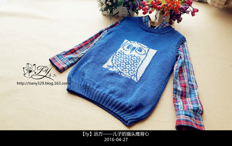 1618——遠方——兒子的貓頭鷹背心 - ty - ty 的 編織博客