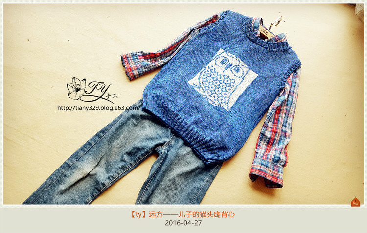 1618——遠方——兒子的貓頭鷹背心 - ty - ty 的 編織博客