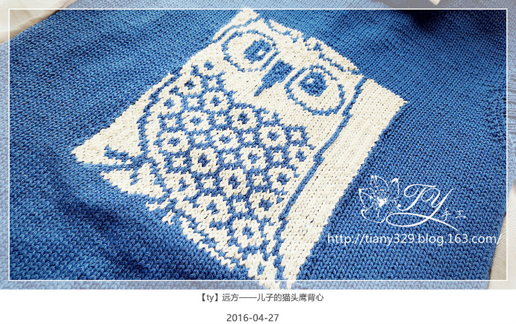 1618——遠方——兒子的貓頭鷹背心 - ty - ty 的 編織博客