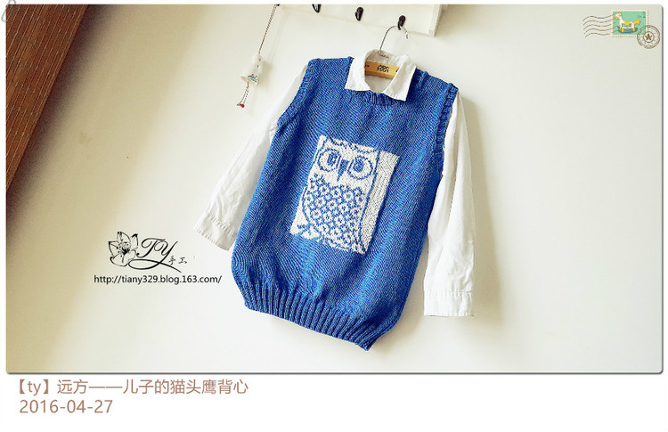 1618——遠方——兒子的貓頭鷹背心 - ty - ty 的 編織博客