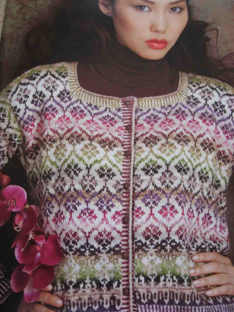 Knit Noro 30 Designs in Living Color 2011 段染女裝/圍巾/帽子/手套/襪子 - 壹一 - 壹一的博客