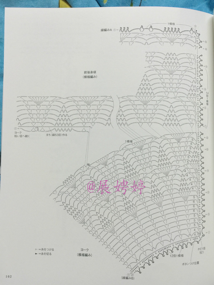 日亞新書：美針編奧林巴斯貴婦人50周年超人氣精選集 （美しいかぎ針編ベストセレクション 永遠のエミーグランデ） - 展娉婷 - 展娉婷的鉤針世界