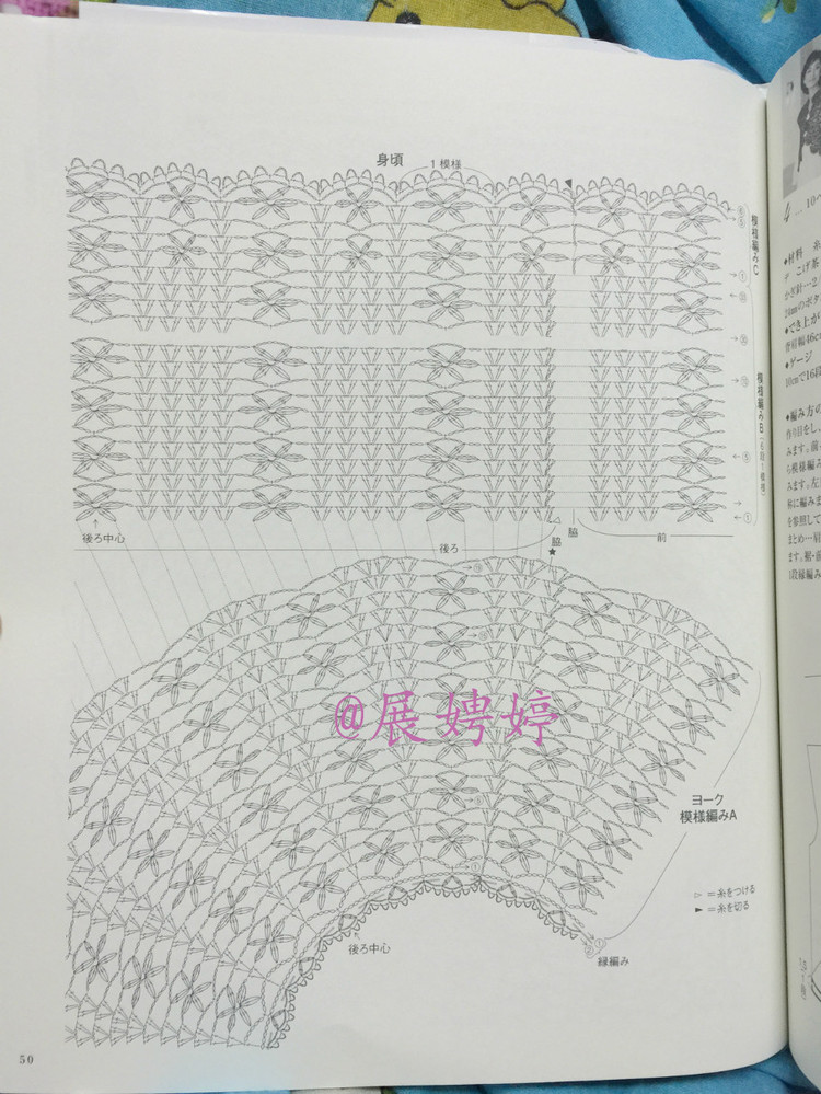 日亞新書：美針編奧林巴斯貴婦人50周年超人氣精選集 （美しいかぎ針編ベストセレクション 永遠のエミーグランデ） - 展娉婷 - 展娉婷的鉤針世界