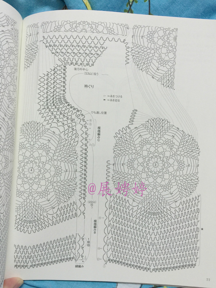 日亞新書：美針編奧林巴斯貴婦人50周年超人氣精選集 （美しいかぎ針編ベストセレクション 永遠のエミーグランデ） - 展娉婷 - 展娉婷的鉤針世界