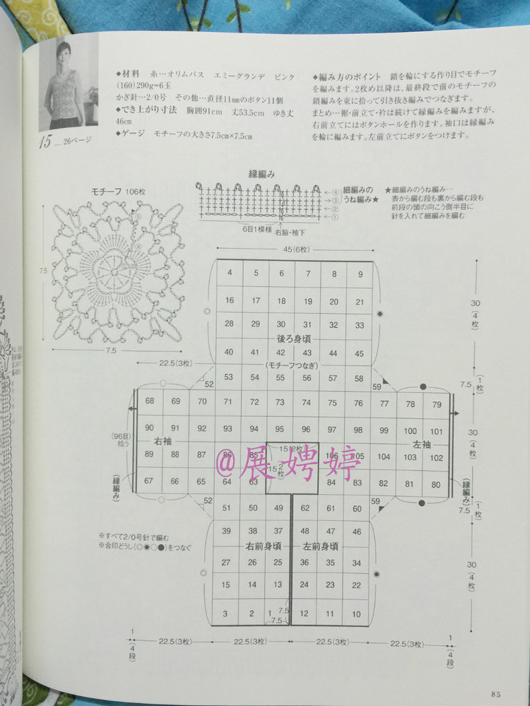 日亞新書：美針編奧林巴斯貴婦人50周年超人氣精選集 （美しいかぎ針編ベストセレクション 永遠のエミーグランデ） - 展娉婷 - 展娉婷的鉤針世界