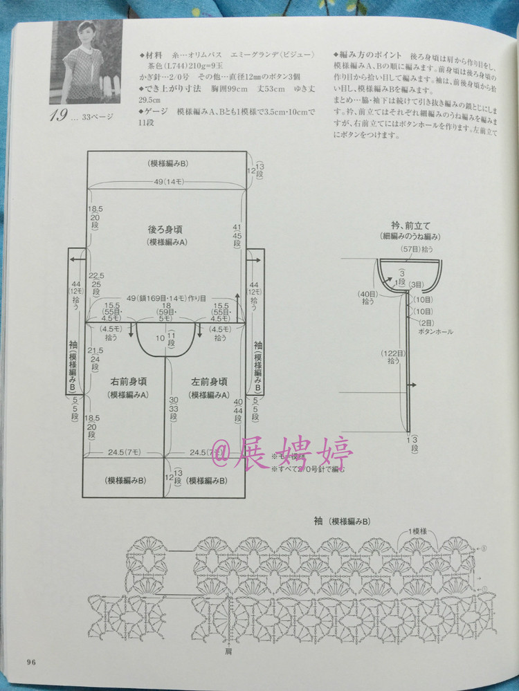 日亞新書：美針編奧林巴斯貴婦人50周年超人氣精選集 （美しいかぎ針編ベストセレクション 永遠のエミーグランデ） - 展娉婷 - 展娉婷的鉤針世界