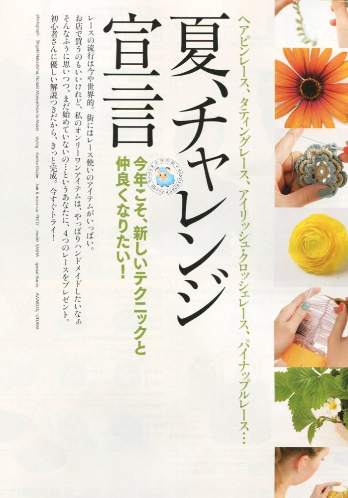 毛線球 2013 夏 158  (增加部分圖片) - 沫羽 - 沫羽編織后花園