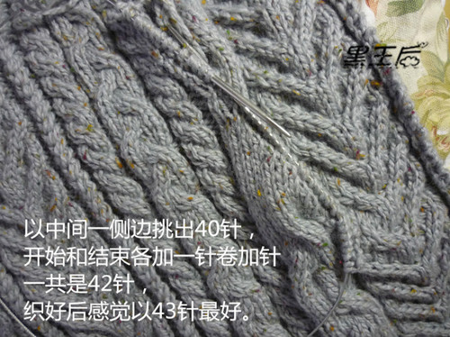 我的假口袋的織法 - 黑王后 - 黑王后的家