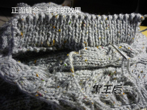 我的假口袋的織法 - 黑王后 - 黑王后的家